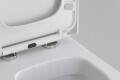 Detailbild Softclosedeckel abnehmbar für Hänge WC