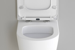 WC Komplettpaket Lifa Lang Wei&szlig; Matt - Duofix UP 320 Komplettset mit Sigma01