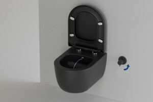 Dusch WC komplett Set - Kaltwasser Lifa 49cm Schwarz Matt WC - Geberit UP 320 Komplettset mit Sigma01